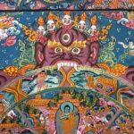 AFPEE5111954x43