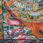 AFPEE5111954x43