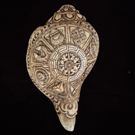 Hand Carved Auspicious Conch