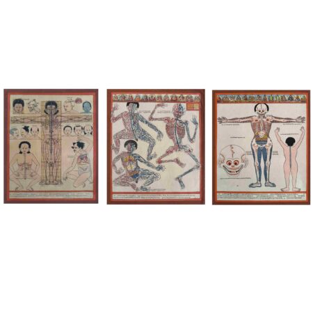 3xTraditional Tibetan Anatomy Chart Thangka