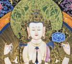 IMG_7925x68x53x1_11zon